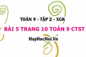 Bài 5 trang 10 Toán 9 tập 2 Chân trời sáng tạo